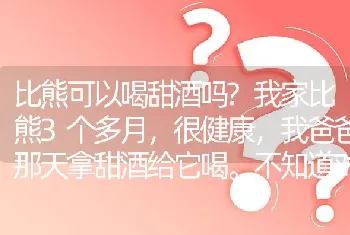 比熊可以喝甜酒吗?我家比熊3个多月，很健康，我爸爸那天拿甜酒给它喝。不知道对它又害处没？