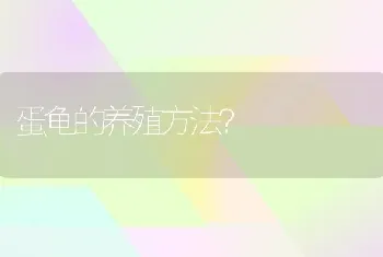 蛋龟的养殖方法？