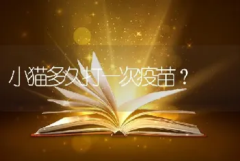 小猫多久打一次疫苗？