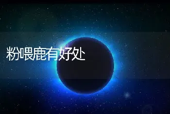 粉喂鹿有好处