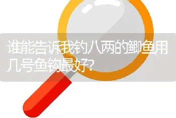 谁能告诉我钓八两的鲫鱼用几号鱼钩最好？