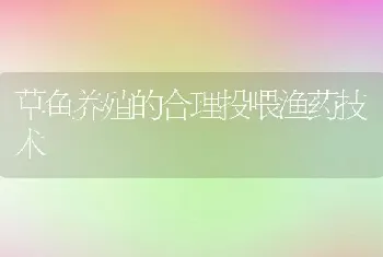 草鱼养殖的合理投喂渔药技术