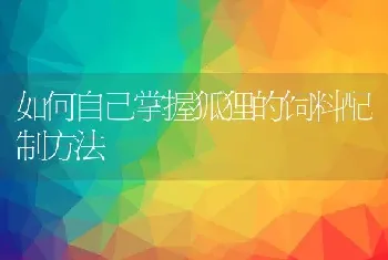 如何自己掌握狐狸的饲料配制方法