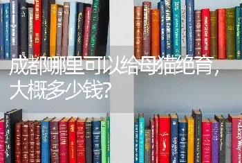 成都哪里可以给母猫绝育，大概多少钱？