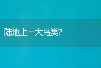 陆地上三大鸟类？