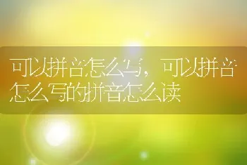 可以拼音怎么写，可以拼音怎么写的拼音怎么读