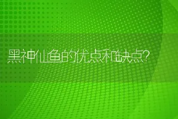 黑神仙鱼的优点和缺点？