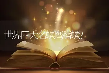 世界四大名螺鹰嘴螺？