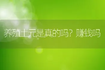 养殖土元是真的吗？赚钱吗