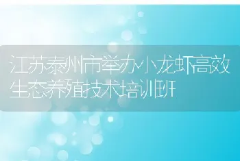 江苏泰州市举办小龙虾高效生态养殖技术培训班