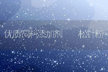 优质饲料添加剂――松针粉