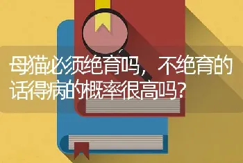 母猫必须绝育吗，不绝育的话得病的概率很高吗？