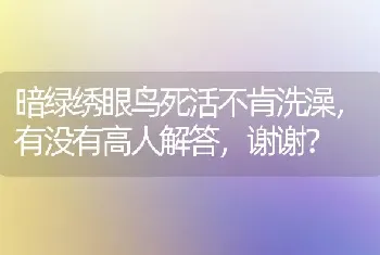 暗绿绣眼鸟死活不肯洗澡，有没有高人解答，谢谢？