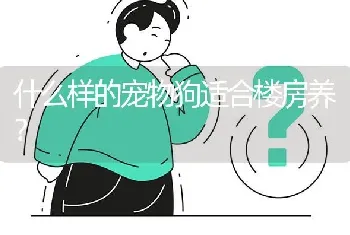 什么样的宠物狗适合楼房养？