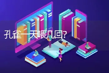 孔雀一天喂几回？