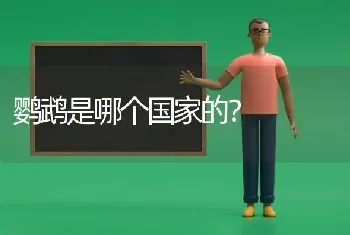 鹦鹉是哪个国家的？