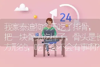 我家泰迪狗今天吃了排骨，把一块骨头吃掉了，骨头是长方形的，吃了会不会有事啊？