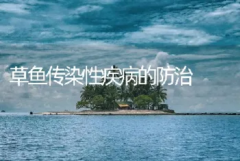 草鱼传染性疾病的防治