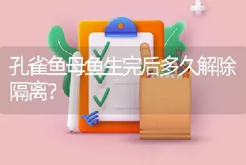 孔雀鱼母鱼生完后多久解除隔离？