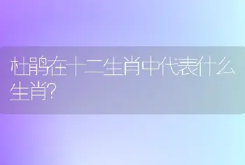 杜鹃在十二生肖中代表什么生肖？