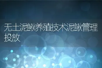 无土泥鳅养殖技术泥鳅管理投放