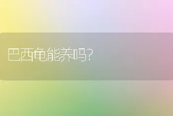 我家金毛2个月不到，为什么有人说像土狗？