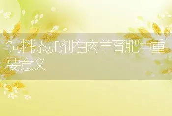 鲍鱼的营养需求与鲍鱼饲料