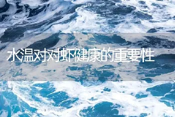 水温对对虾健康的重要性