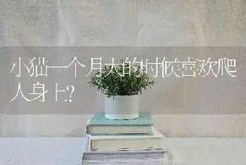 小猫一个月大的时候喜欢爬人身上？