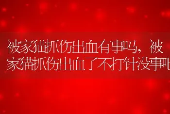 被家猫抓伤出血有事吗，被家猫抓伤出血了不打针没事吧