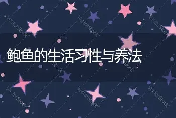 鲍鱼的生活习性与养法