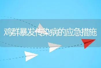 鸡群暴发传染病的应急措施