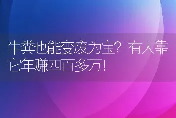 牛粪也能变废为宝？有人靠它年赚四百多万！