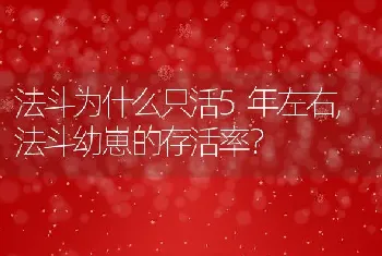 法斗为什么只活5年左右，法斗幼崽的存活率？