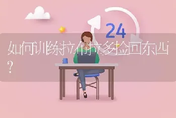 如何训练拉布拉多捡回东西？