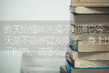 昨天给猫咪洗澡不知道它今天是不是感冒发烧了，身上比平时热，该怎么办？