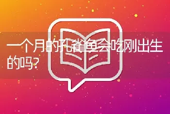 一个月的孔雀鱼会吃刚出生的吗？