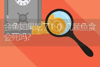 金鱼如果吃了10几颗鱼食会死吗？