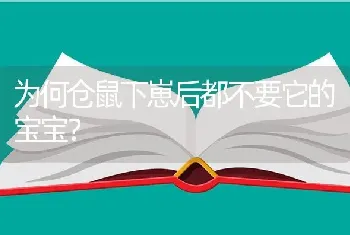 为何仓鼠下崽后都不要它的宝宝？