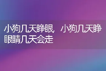 小狗几天睁眼，小狗几天睁眼睛几天会走