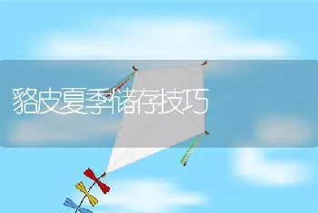 貉皮夏季储存技巧