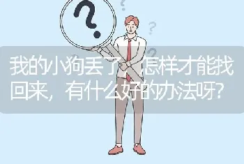 我的小狗丢了，怎样才能找回来，有什么好的办法呀？