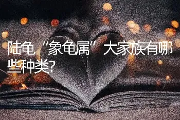 狗和人相处几天才听话？