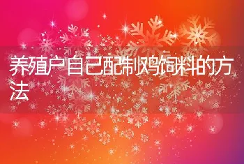 金鱼养殖周年指导(1,2月)