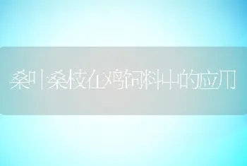 桑叶桑枝在鸡饲料中的应用