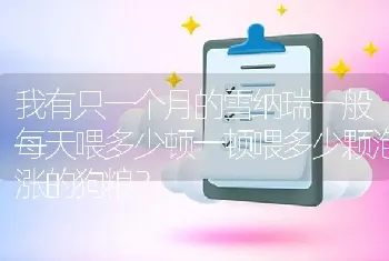 渴望狗粮怎么样？