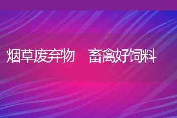 烟草废弃物畜禽好饲料