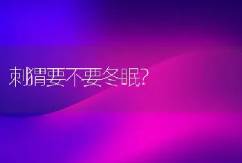 刺猬要不要冬眠？