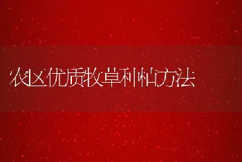 延长蛋鸡产蛋高峰期6招