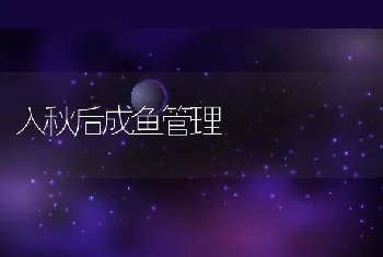 入秋后成鱼管理